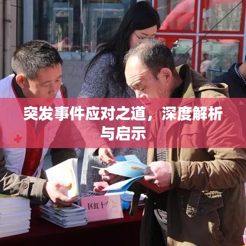 突发事件应对之道，深度解析与启示