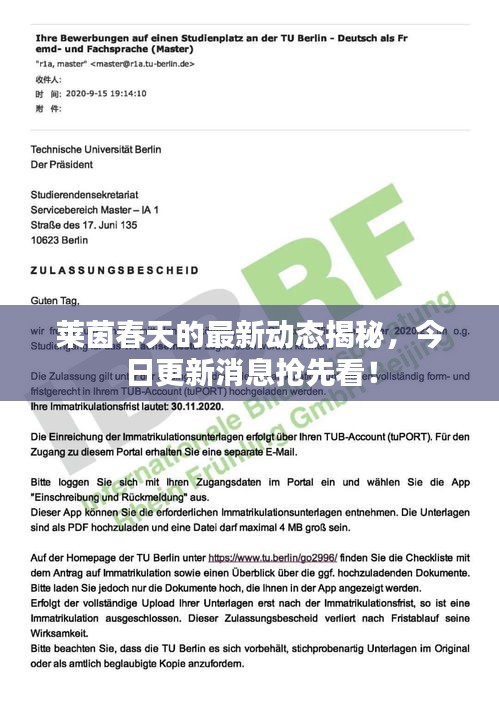 莱茵春天的最新动态揭秘，今日更新消息抢先看！